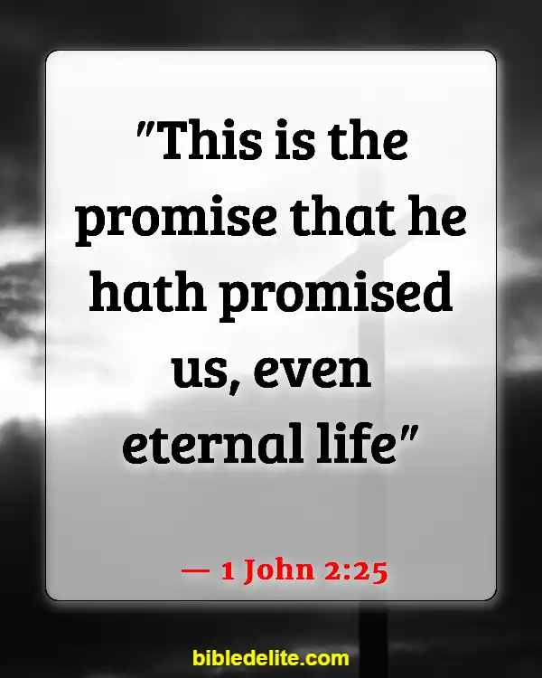 Bible Verse About Expecting Great Things (1 John 2:25)