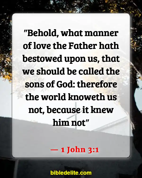 Bible Verses About Rebuilding Yourself (1 John 3:1)