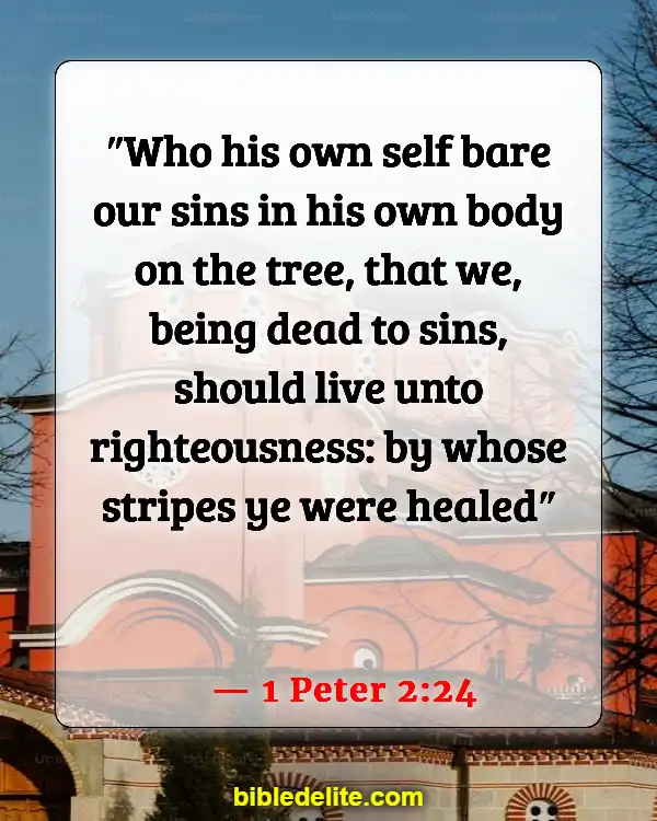 Bible Verses To Read When You Need Help From God (1 Peter 2:24)