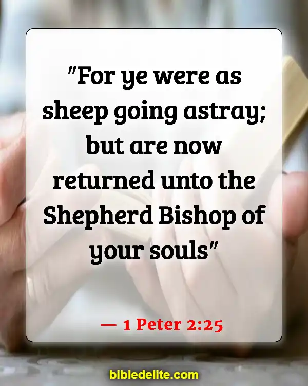 Bible Verses About Sheep Needing Guidance (1 Peter 2:25)