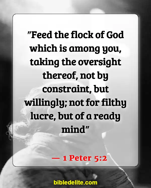 Bible Verses About Sheep Needing Guidance (1 Peter 5:2)