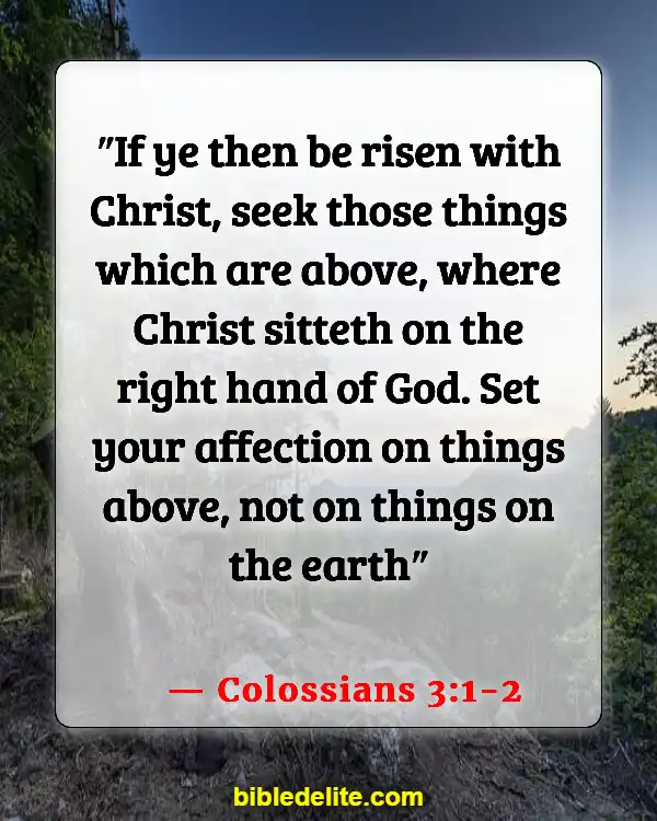 Bible Verse About Being Set Apart From The World (Colossians 3:1-2)