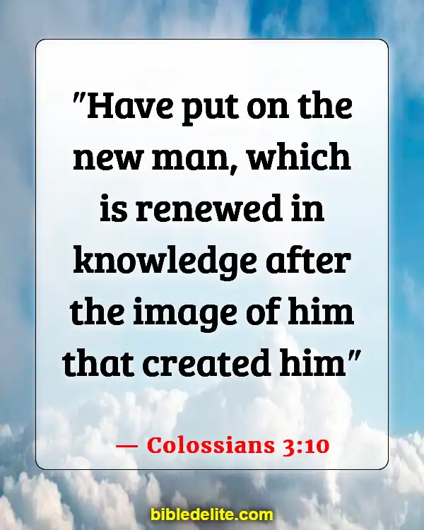 Bible Verses About Rebuilding Yourself (Colossians 3:10)
