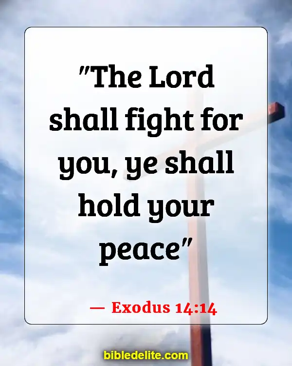 Bible Verses About God Destroying Your Enemies (Exodus 14:14)
