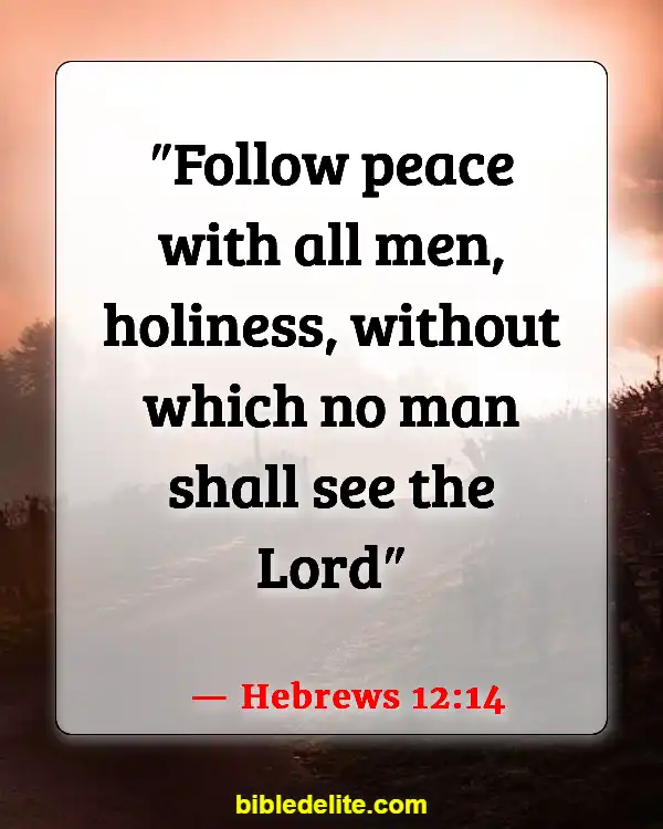 Bible Verse About Being Set Apart From The World (Hebrews 12:14)