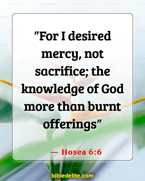 Bible Verses About Going To Church For The Wrong Reasons (Hosea 6:6)