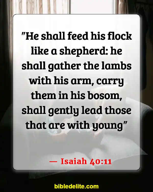 Bible Verses About Sheep Needing Guidance (Isaiah 40:11)