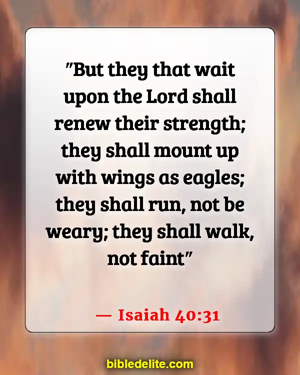 Encouraging Bible Verses For Backsliders (Isaiah 40:31)
