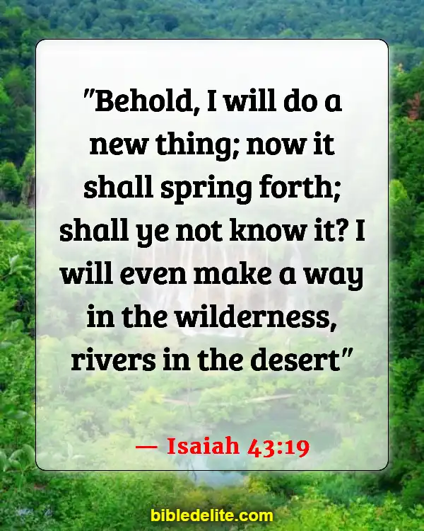 Bible Verse About Expecting Great Things (Isaiah 43:19)
