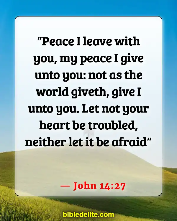 Bible Verses When You Need Encouragement (John 14:27)