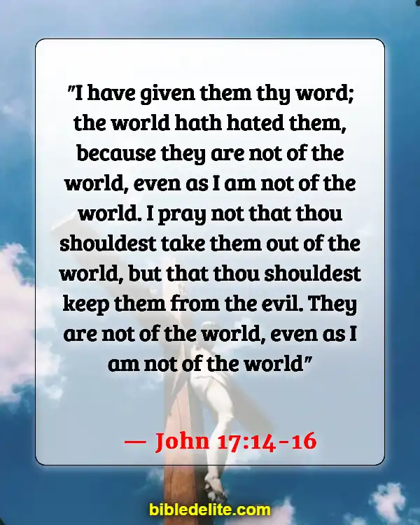 Bible Verse About Being Set Apart From The World (John 17:14-16)
