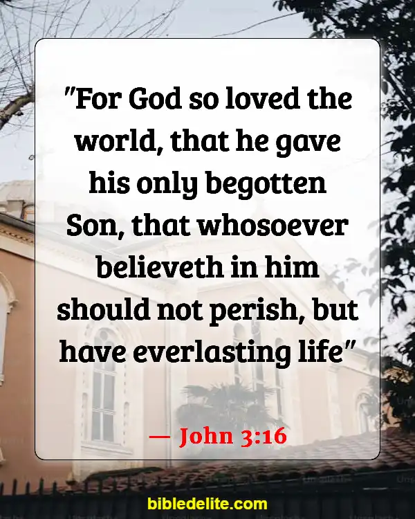 Bible Verses About Spreading God's Love (John 3:16)