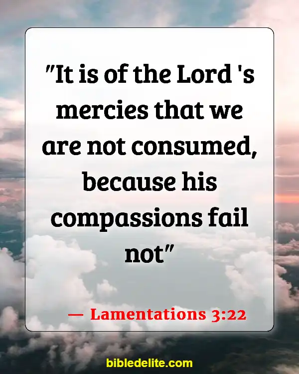 Bible Verses About Rebuilding Yourself (Lamentations 3:22)