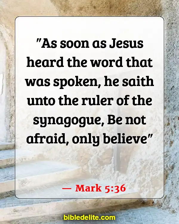 Bible Verses About Jesus Teaching His Disciples (Mark 5:36)