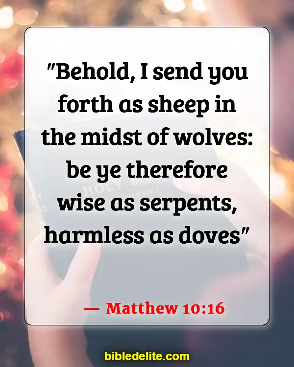 Bible Verses About Doing Mission Work (Matthew 10:16)
