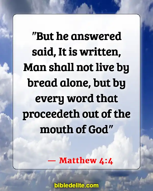Bible Verses About Rebuilding Yourself (Matthew 4:4)