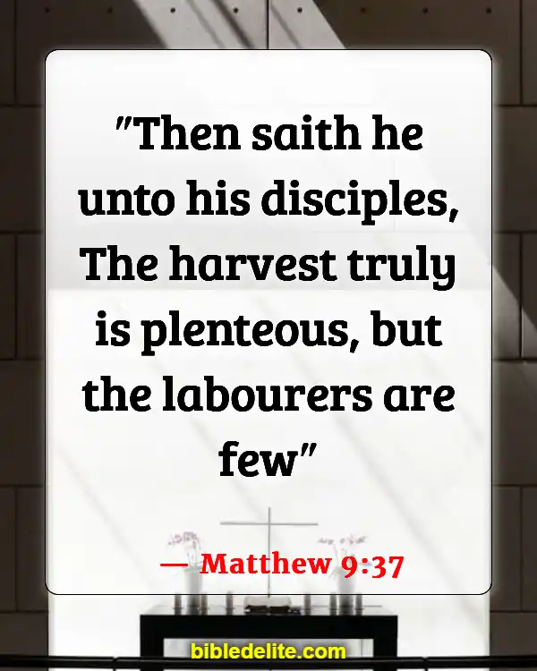 Bible Verses About Jesus Teaching His Disciples (Matthew 9:37)