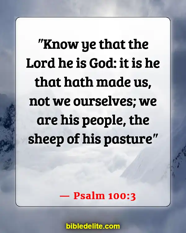 Bible Verses About Sheep Needing Guidance (Psalm 100:3)