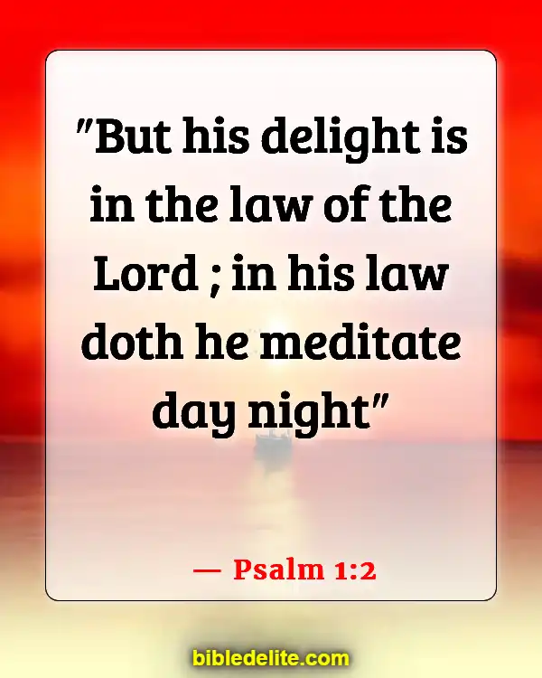 Bible Verses About Rebuilding Yourself (Psalm 1:2)