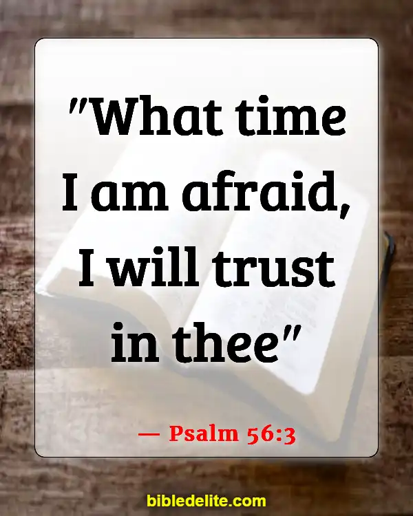 Bible Verse About Expecting Great Things (Psalm 56:3)