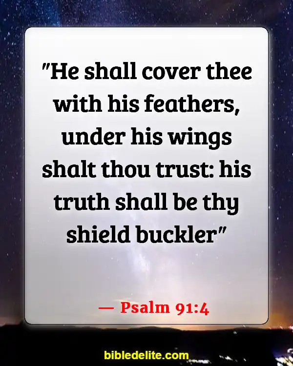 Bible Verses About God Destroying Your Enemies (Psalm 91:4)