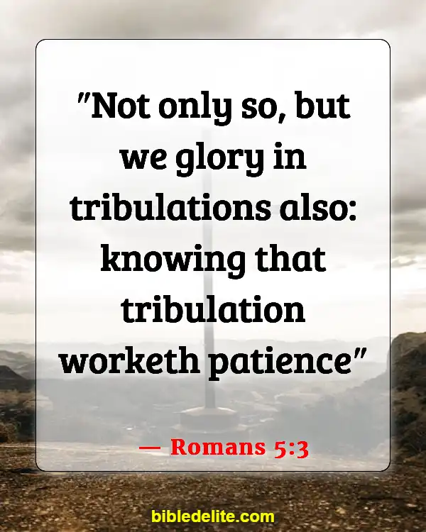 Bible Verses When You Need Encouragement (Romans 5:3)