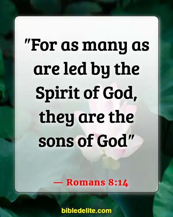 Bible Verses About God Directing Your Path (Romans 8:14)