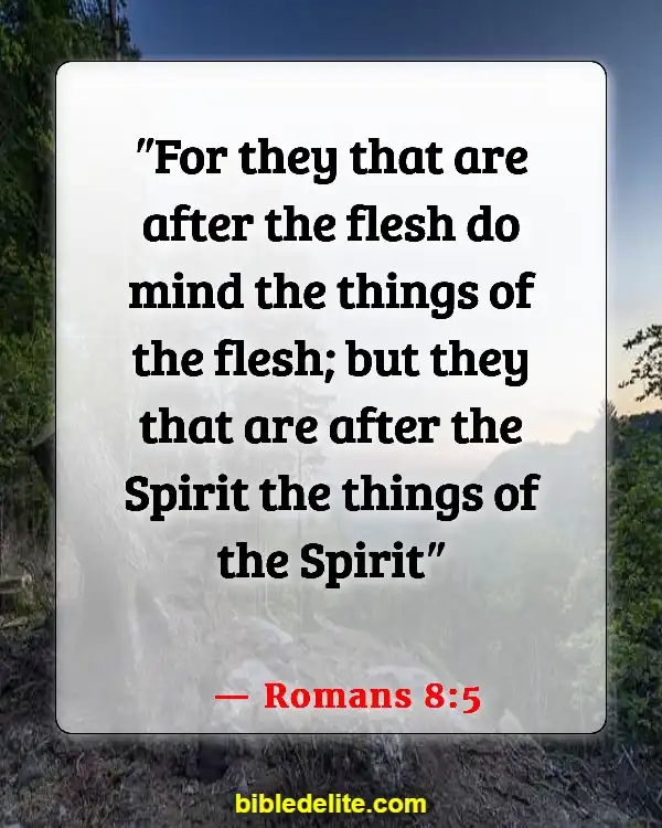 Bible Verses About Fixing My Eyes On Jesus (Romans 8:5)