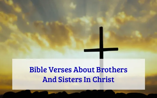 Bible Verses About Brothers And Sisters In Christ