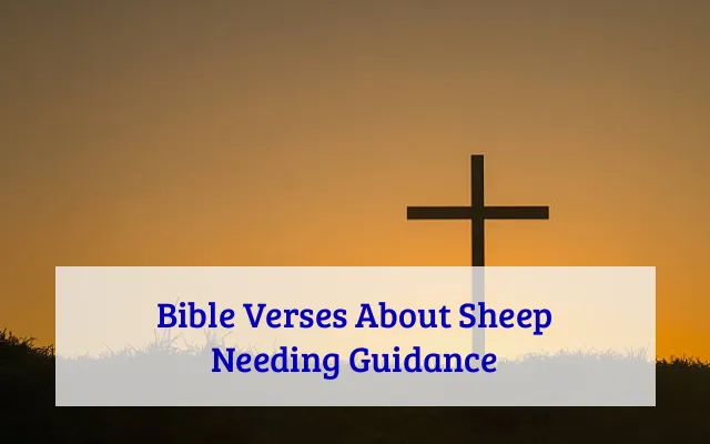 Bible Verses About Sheep Needing Guidance
