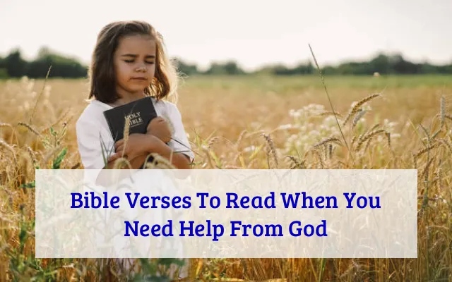 Bible Verses To Read When You Need Help From God